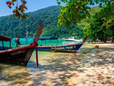 Mai Ngam Körfezi sahilinde ahşap turist teknesi, Mu Koh Surin Milli Parkı, Phang-nga, Tayland : Mart 2019