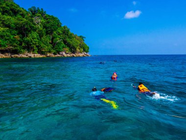 Mu Koh Surin veya Surin Adası'nda şnorkelli yüzme, Tayland : Mart 2019