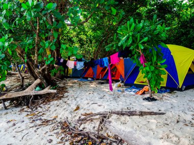 Surin Adası'nda plajda çadır kurulumu, Tayland : Mart 2019.