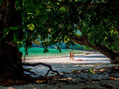 Mu Koh Surin veya Surin Island Plajı, Tayland : Mart 2019