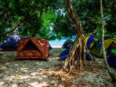 Surin Adası'nda plajda çadır kurulumu, Tayland : Mart 2019.