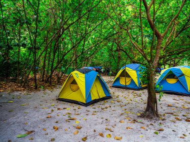 Surin Adası'nda plajda çadır kurulumu, Tayland : Mart 2019.