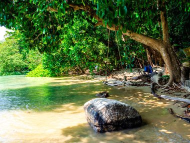 Mai Ngam Bay, Mu Koh Surin Ulusal Parkı, Phang-nga, Tayland : 
