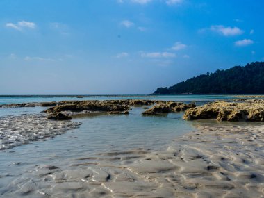 Mu Koh Surin veya Surin Adası'ndaki Plaj, Tayland