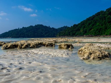 Mu Koh Surin veya Surin Adası'ndaki Plaj, Tayland