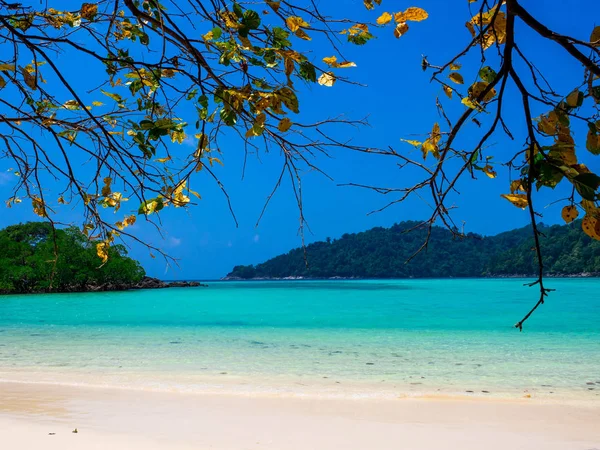 Пляж в му Кох Сурін або острів Сурін, Таїланд — стокове фото