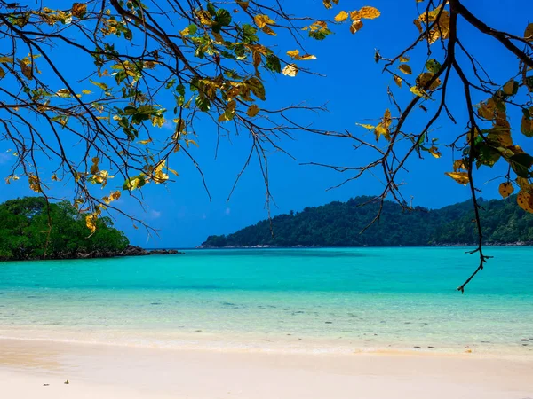 Mu Koh Surin veya Surin Adası'ndaki Plaj, Tayland