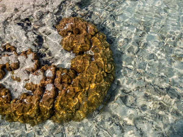 Coral na praia no parque nacional das ilhas Surin, Phang Nga. Tailândia: Março de 2019 — Fotografia de Stock