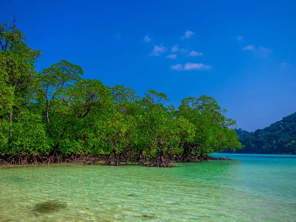 Praia em Mu Koh Surin ou Surin Island, Tailândia — Fotografia de Stock