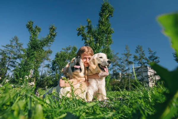 Girl with two golden retriever dogs in a park