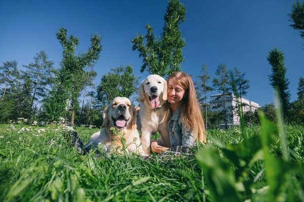 Girl with two golden retriever dogs in a park