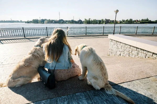 Rear view of a beautiful girl and her dogs on a morning walk with two golden retrievers. — стоковое фото