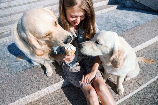 A young girl feeds her dogs ice cream in a park on a hot summer day.