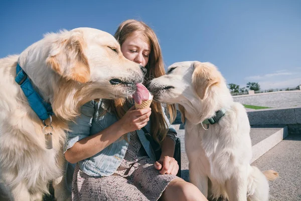 A young girl feeds her dogs ice cream in a park on a hot summer day. — Stock Photo, Image