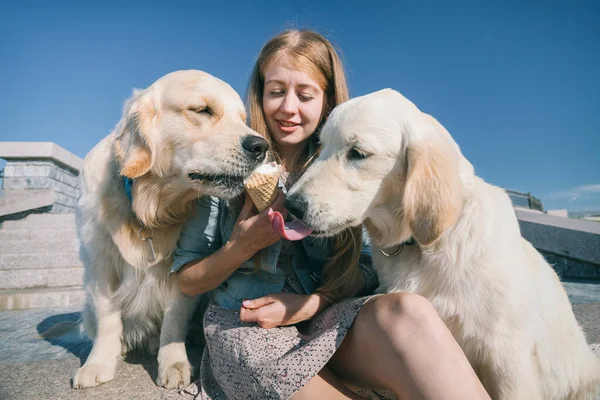 Молодая девушка кормит своих собак мороженым в парке в жаркий летний день . — стоковое фото