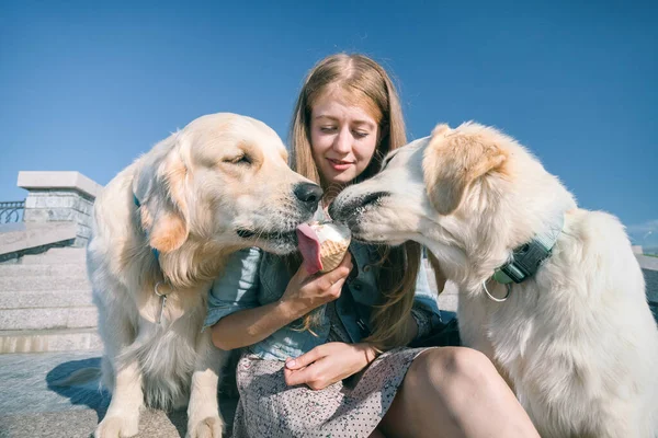 Молодая девушка кормит своих собак мороженым в парке в жаркий летний день . — стоковое фото