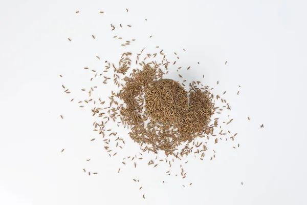 Σπόρους Κύμινου Στεγνώσει Εντελώς Σκόνη Υγιή Αρωματικό Μπαχαρικό Jeera — Φωτογραφία Αρχείου