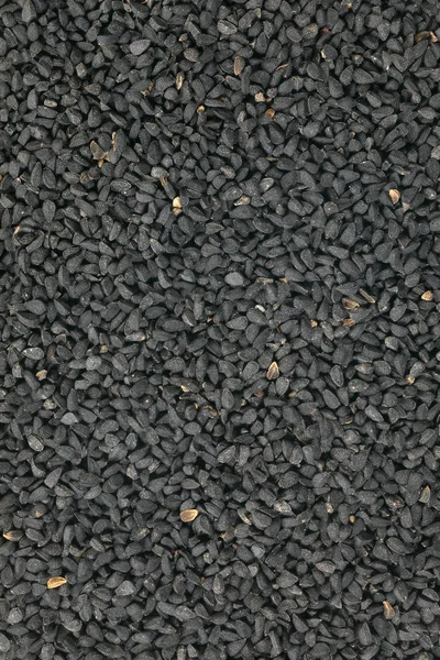 Black seed grain fragrant healthy spice herb