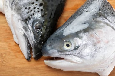 Kesilmiş Temizlenmiş Somon Alabalık Balık Baş yarısı 