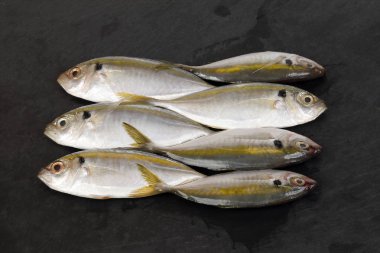 Ham taze küçük sarı çizgili tervally bantlı ince balık 