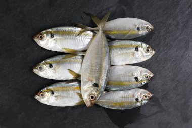 Ham taze küçük sarı çizgili tervally bantlı ince balık 