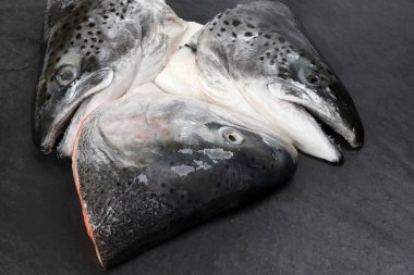 Kesilmiş Temizlenmiş Somon Alabalık Balık Baş yarısı 