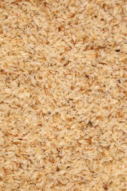 Psyllium Husk Isobgol beyaz arka plan üzerinde 