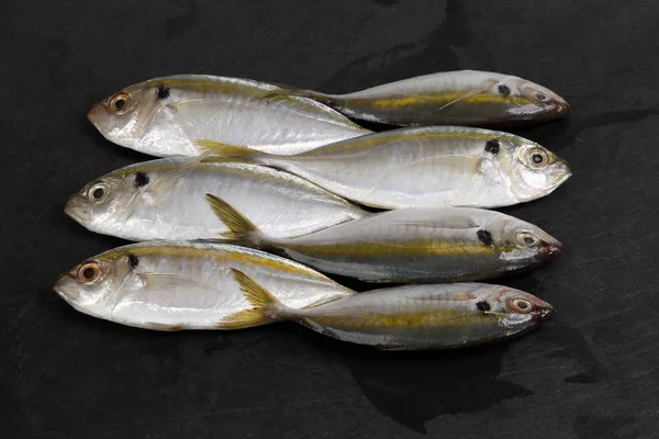 Syrové Čerstvé Malé Žlutopruhovaná Štíhlá Ryba — Stock fotografie