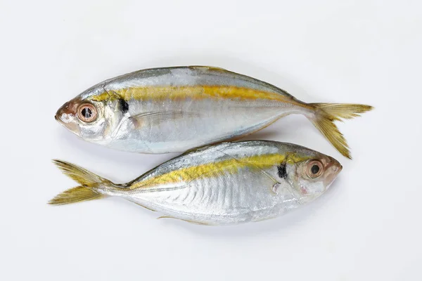 Surowe Świeże Małe Żółte Paski Tervally Prążkowane Smukłe Ryby — Zdjęcie stockowe