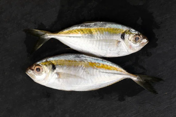 Ham taze küçük sarı çizgili tervally bantlı ince balık 