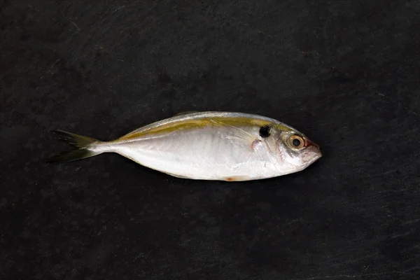 Surowe Świeże Małe Żółte Paski Tervally Prążkowane Smukłe Ryby — Zdjęcie stockowe