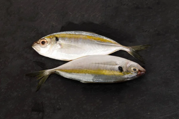Syrové Čerstvé Malé Žlutopruhovaná Štíhlá Ryba — Stock fotografie