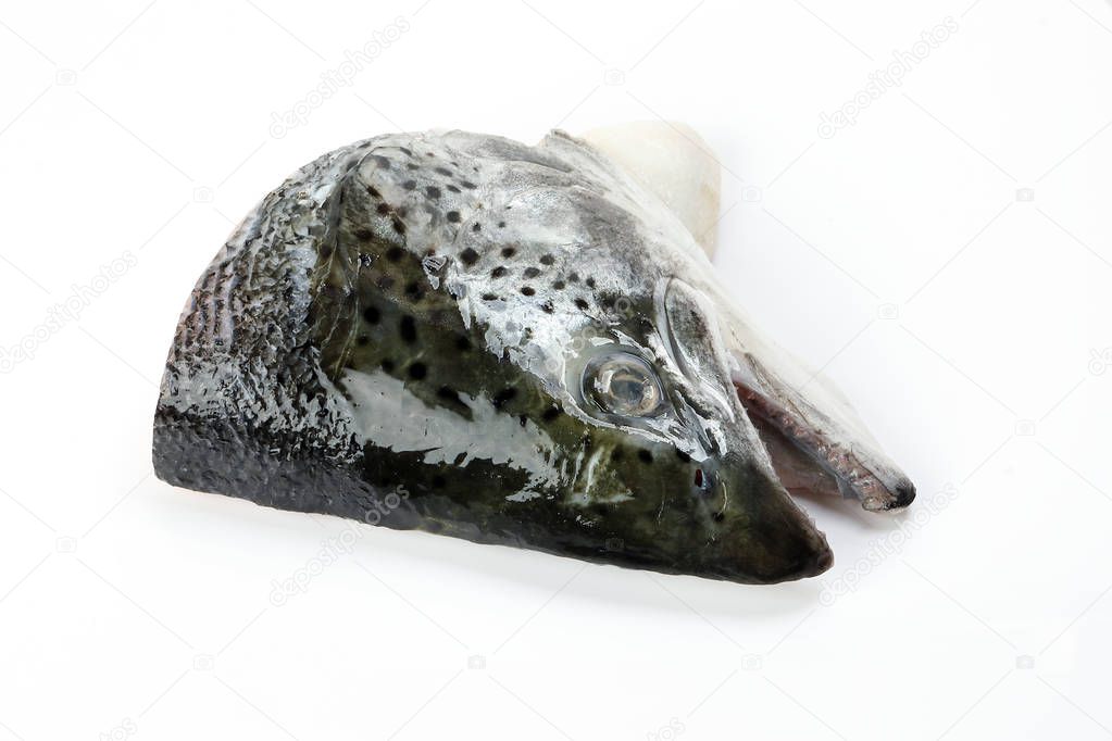 Cut Cleaned Salmon Trout Fish Head half 