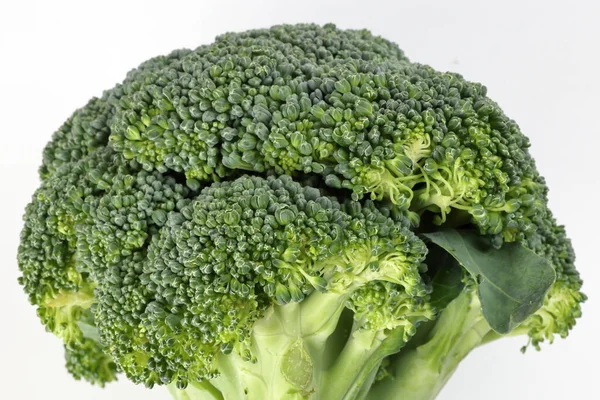 Whole Green Broccoli Closeup White Background — Stock Photo, Image