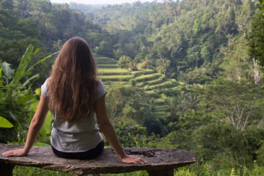 Bankta oturan ve güzel pirinç teras Bali, Endonezya bakarak genç kadın