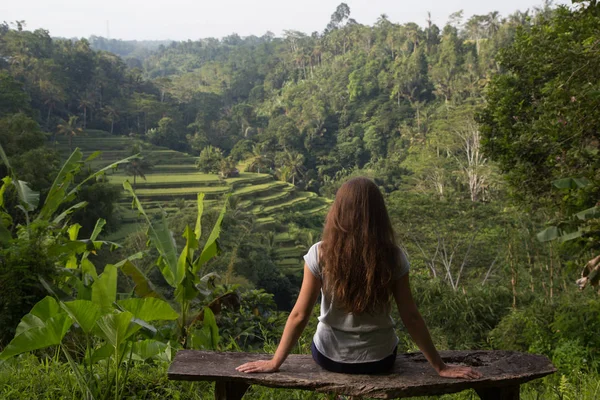 Bankta oturan ve güzel pirinç teras Bali, Endonezya bakarak genç kadın — Stok fotoğraf