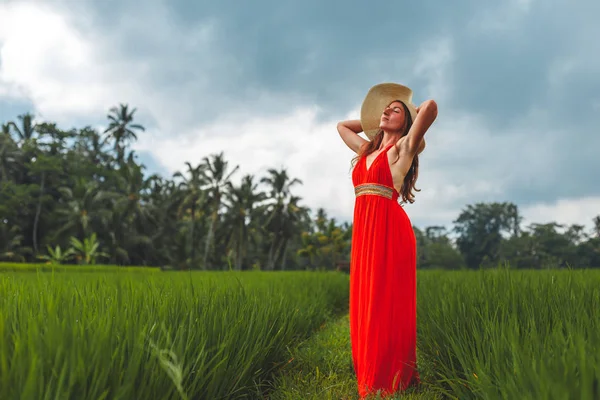 Bali dili geleneksel alanları güzel manzarasına. Doğa yeşil pirinç teras yürümek. Seyahat macera yaz tatili Bali, Endonezya
