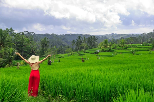 Mujer feliz en vestido rojo con los brazos abiertos en el campo de arroz verde, campo de Bali al amanecer. Indonesia concepto de viaje —  Fotos de Stock