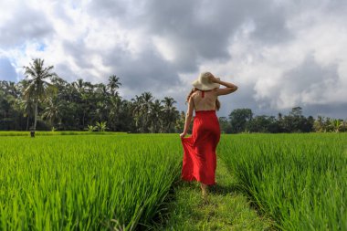Kırmızı elbiseli güzel bir kadın hasır şapkaya dokunuyor. Kız tipik Asya yamacında pirinç tarlasıyla dağ şeklinde yeşil çağlayan pirinç tarlalarıyla yürüyor. Ubud, Bali, Endonezya.