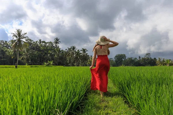Kırmızı elbiseli güzel bir kadın hasır şapkaya dokunuyor. Kız tipik Asya yamacında pirinç tarlasıyla dağ şeklinde yeşil çağlayan pirinç tarlalarıyla yürüyor. Ubud, Bali, Endonezya.