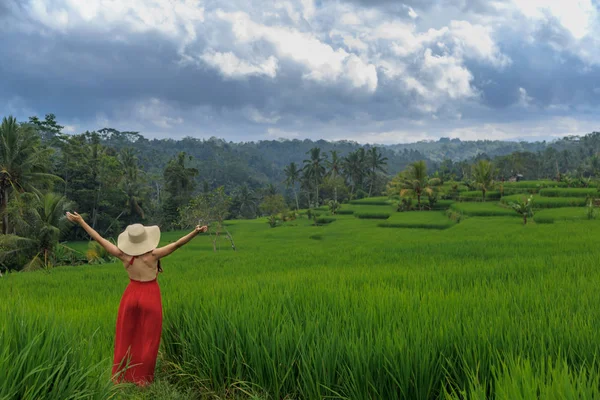 Mujer feliz en vestido rojo con los brazos abiertos en el campo de arroz verde, campo de Bali al amanecer. Indonesia concepto de viaje —  Fotos de Stock