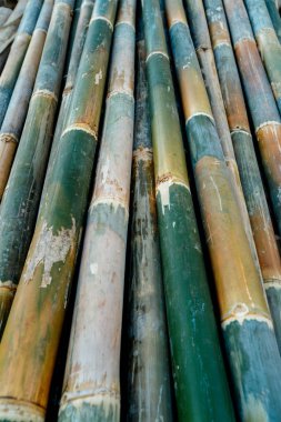 Bambu doku arka plan, Yeşil Bambu çit duvar