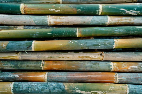 Bambu doku arka plan, Yeşil Bambu çit duvar