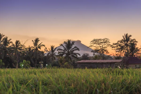 Fantastik gündoğumu volkan Agung ve ormanlar ile pirinç terasları Bali harika manzaralı. serisi seyahatleri. — Stok fotoğraf