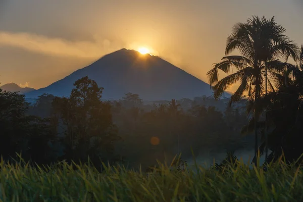 Fantastik gündoğumu volkan Agung ve ormanlar ile pirinç terasları Bali harika manzaralı. serisi seyahatleri.