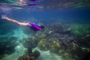 Suda, güzel kadın coral Reef, kadın mavi maske, şnorkel kadın yüz maskesi, tropikal deniz şnorkel, yaz tatil aktivitesi içinde şnorkel dalış önce su altında yüzmek kadın