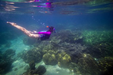 Suda, güzel kadın coral Reef, kadın mavi maske, şnorkel kadın yüz maskesi, tropikal deniz şnorkel, yaz tatil aktivitesi içinde şnorkel dalış önce su altında yüzmek kadın