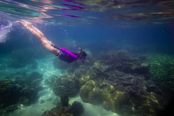 サンゴ礁 女性青のマスク マスク 熱帯の海でシュノーケ リング 夏の休暇の活動でシュノーケル女性顔でシュノーケ リングにダイビングの前に水の下で美しい女性 水で泳いでいる女性 ストック画像