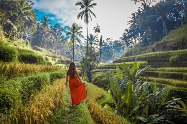 Tegallalang 'da pirinç tarlalarında yürüyen kırmızı elbiseli genç bir kadın. Dışarıdaki kırsal Ubud köyü manzarası. Moda tarzı