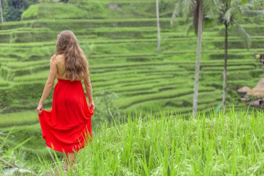 Bali, Endonezya güzel tegallalang pirinç terası bakarak kırmızı elbise güzel kadın geri görünümü